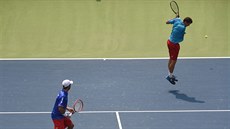 eský pár Radek tpánek (vlevo), Adam Pavlásek v barái Davis Cupu v Dillí.