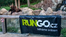 Craft RUNGO bh brnnskou zoo