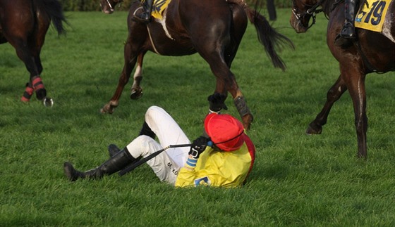 okej Michal Köhl po pádu ve Velké pardubické v roce 2014.