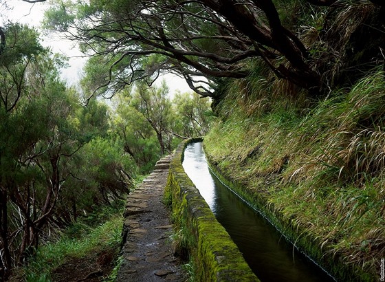 Madeira, leváda 25 pramen