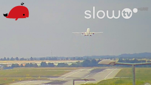Planespotting Planespotting