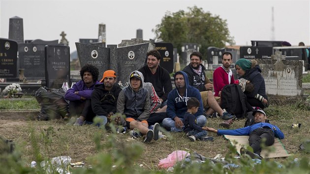 Uprchlci u Tovarniku na srbsko - chorvatsk hranici (24. z 2015)