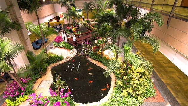 Tropick zahrada v hale mezinrodnho letit Singapore Changi