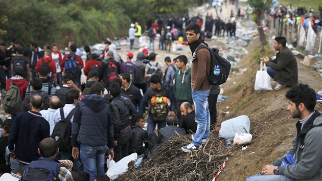 Desítky migrant ekají nedaleko vesnice Babska, a budou moci ze Srbska pejít...