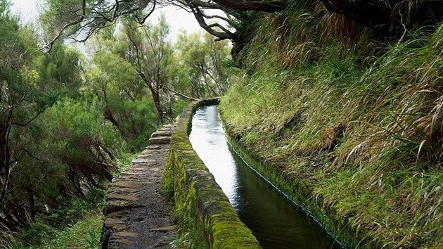 Madeira, levda 25 pramen