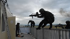 Policejní zásahové jednotky z Česka a Polska předvedly společně osvobození... Policejní zásahové jednotky z Česka a Polska předvedly společně osvobození...