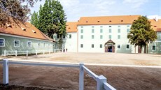 Prostory hřebčína jsou po nákladné rekonstrukci jako nové. Prostory hřebčína jsou po nákladné rekonstrukci jako nové.