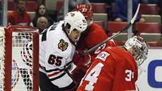 Petr Mrázek hlídá branku Detroitu, atakuje ho chicagský Andrew Shaw.