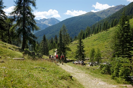 Bhem první hodiny výstupu od parkovit ve Val di Rabbi vede pohodlná cesta a...