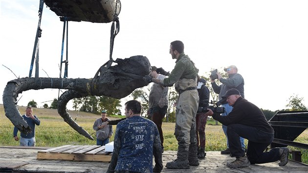 Farm v Michiganu vykopal na svm pozemku pozstatky mamuta. Na snmku je vidt mamut kel. (1. jna 2015)