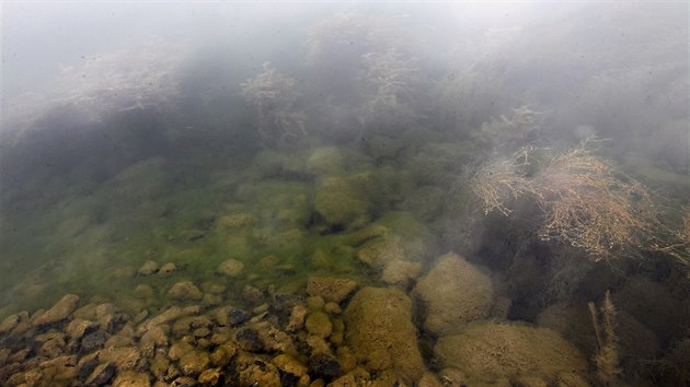 Jezero Most