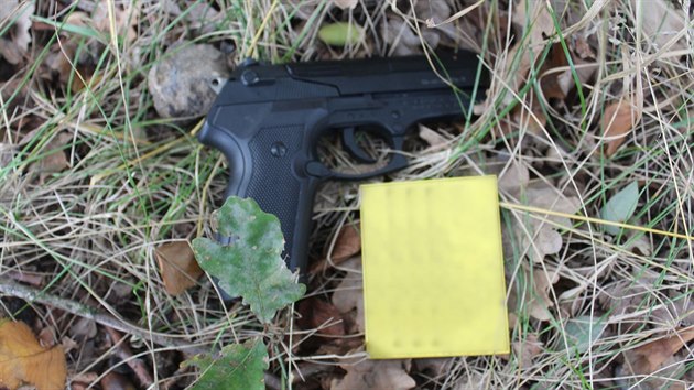 Plynov pistole, se kterou idim pepravn sluby hrozil lupi na Novojinsku a Bruntlsku.