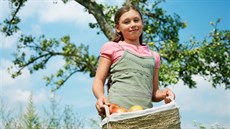 Silničáři nemají problém s tím, že lidé sbírají ovoce u silnic. Jen apelují na... Silničáři nemají problém s tím, že lidé sbírají ovoce u silnic. Jen apelují na...