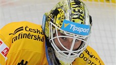 Litvínovský brankář Jaroslav Janus s novou maskou. Litvínovský brankář Jaroslav Janus s novou maskou.
