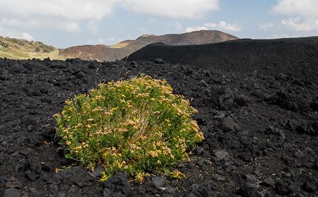 Etna