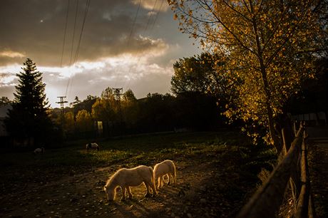 V íjnu se ochladí, prmrné týdenní maximální teploty vzduchu se budou pohybovat zhruba kolem 16 °C, po pli íjna u jen kolem 13 °C. 