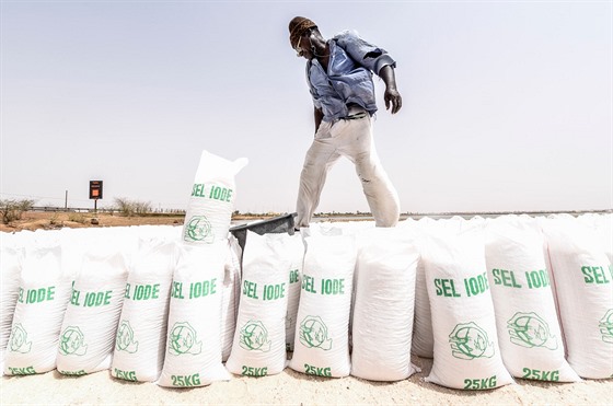 Senegalci se kvli zmnám klimatu  pesouvají od zemdlství k tb soli