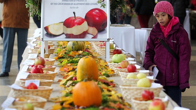 Lzesk festival jablek na kolond v Marinskch Lznch. Soust byla tak prezentace jablench odrd a jejich plod, ochutnvka motu nebo sout o nejlep trdl (10. 10. 2015)