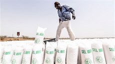 Senegalci se kvůli změnám klimatu přesouvají od zemědělství k těžbě soli Senegalci se kvůli změnám klimatu přesouvají od zemědělství k těžbě soli