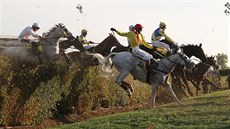 TER MILL V ELE. Momentka z 125. roníku Velké pardubické zachycuje vedení...