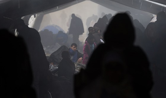 Uprchlíci u obce Barkasovo na hranicích Chorvatska a Srbska (22. íjna 2015)