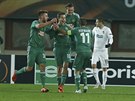 Fotbalisté Rapidu Víde se v zápase proti Plzni radují ze vsteleného gólu.