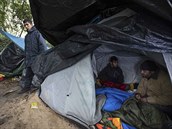 Stanov msteko na okraji Calais u host pes 6 tisc migrant, kte sn o...