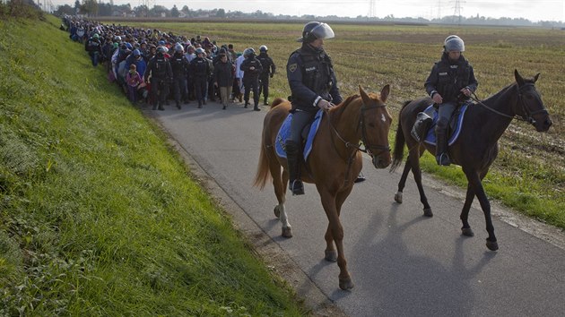 Slovint policist vedou uprchlky, kte do zem dorazili z Chorvatska (20. jna 2015).