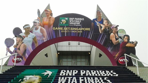 Osmika z hvzd tenisovho Turnaje mistry na prel haly Singapore Indoor Stadium. Druh zleva Lucie afov, tvrt zprava Petra Kvitov.