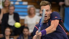 Tomáš Berdych v semifinále turnaje ve Stockholmu. Tomáš Berdych v semifinále turnaje ve Stockholmu.