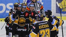 Litvínovtí hokejisté se radují z gólu na led Zlína.