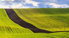 Krajina působí díky pásům země velmi geometrickým dojmem. Krajina působí díky pásům země velmi geometrickým dojmem.