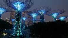 „Superstromy“ v singapurském parku Gardens by the Bay (24. října 2015). „Superstromy“ v singapurském parku Gardens by the Bay (24. října 2015).