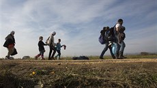 Uprchlíci přecházejí hranice z Chorvatska do Slovinska u vesnice Rigonce (26.... Uprchlíci přecházejí hranice z Chorvatska do Slovinska u vesnice Rigonce (26....