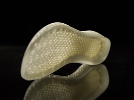 Adidas Futurecraft 3D - budoucnost beckch bot le podle adidasu v 3D tisku...