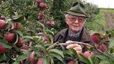 Pěstitel Josef Thoř se ovocnářství věnuje již od maturity na zahradnické škole,... Pěstitel Josef Thoř se ovocnářství věnuje již od maturity na zahradnické škole,...