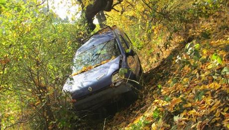 idika vyjela se silnice. Auto, v nm vezla dv dti, narazilo do stromu.