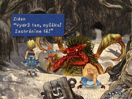 Final Fantasy IX