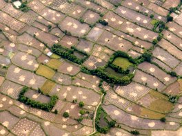 LÁNY RÝE. Letecký snímek zachycuje rýová pole na indonéském ostrov Lombok v...