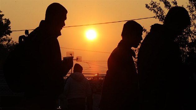 Skupina benc prochz centrem Blehradu. Ze srbsko-maarsk hranice ji migranti zcela zmizeli, v hlavnm mst se jet trous posledn skupinky okolo ndra. (6. listopadu 2015)