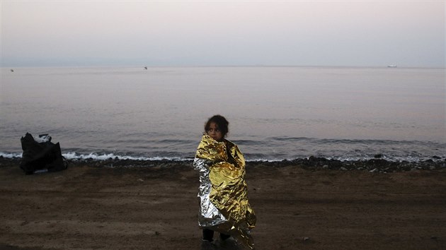 Syrsk holika se choul v termln pikrvce krtce pot, co dorazila na ostrov Lesbos (7. 11.).