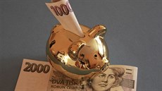 „Z každého měsíčního příjmu byste měli být schopni odložit 25 procent,“... „Z každého měsíčního příjmu byste měli být schopni odložit 25 procent,“...