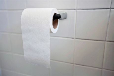První zkuební aukci toaletního papíru chystá kraj u záhy (ilustraní snímek).