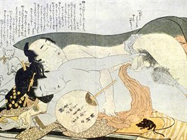Obrazy vznikaly v období Edo, tedy v letech 1603 a 1867, a obsahují velmi...