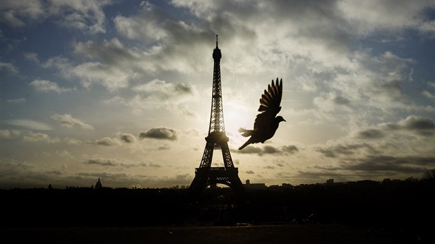 Eiffelova v po ptench tocch v Pai zstv zaven (15. listopadu 2015)