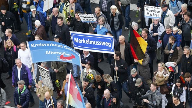 Lid protestuj v Berln na demonstraci svolan Alternativou pro Nmecko (7. listopad 2015)