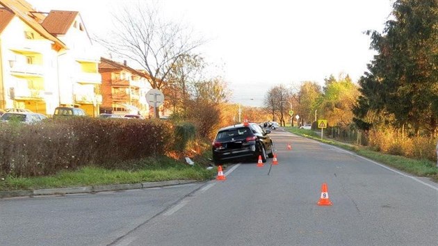 idika ve stedu odpoledne srazila v Plavsk ulici v eskch Budjovicch cyklistku, kter v nemocnici svm zrannm podlehla.