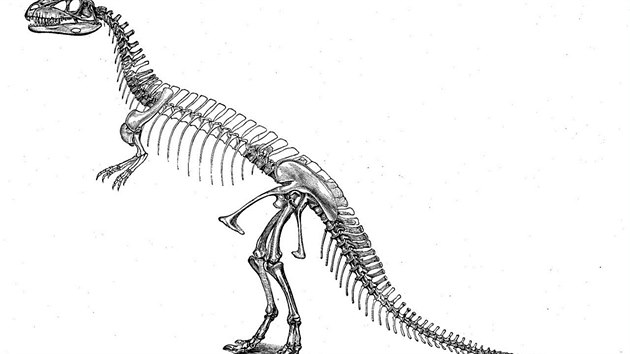 Dnes ji zastaralá rekonstrukce kostry jednoho z mnoha jurských dinosaur,...