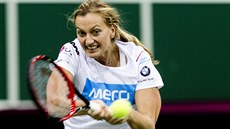 Petra Kvitová na tréninku eských reprezentantek ped finále Fed Cupu.