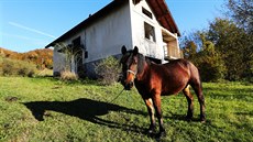 Aktuáln je v Bosn a Hercegovin zhruba kadý tvrtý lovk bez práce.